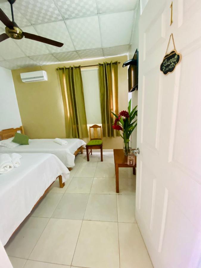 Hotel Ana Mary サンティアゴ エクステリア 写真