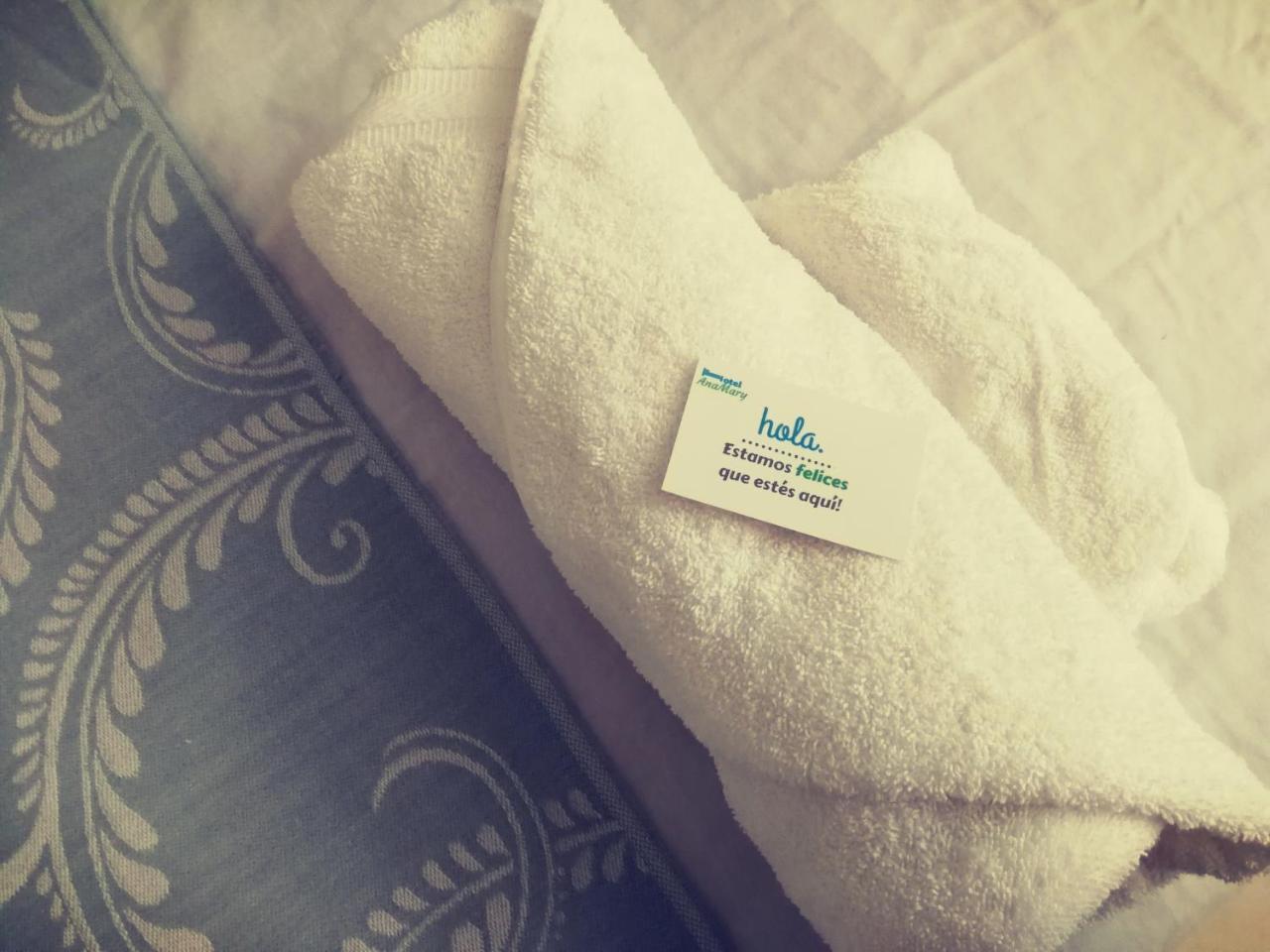 Hotel Ana Mary サンティアゴ エクステリア 写真